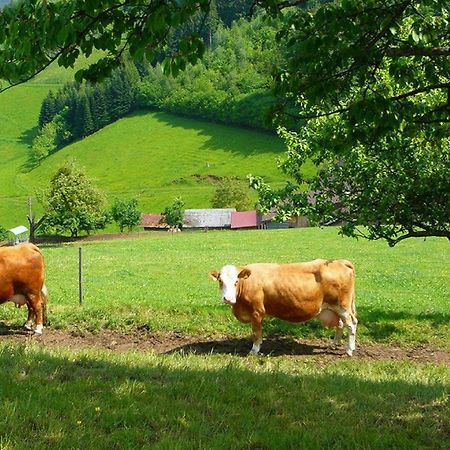 Appartamento Ziegelhof Schuttertal Esterno foto
