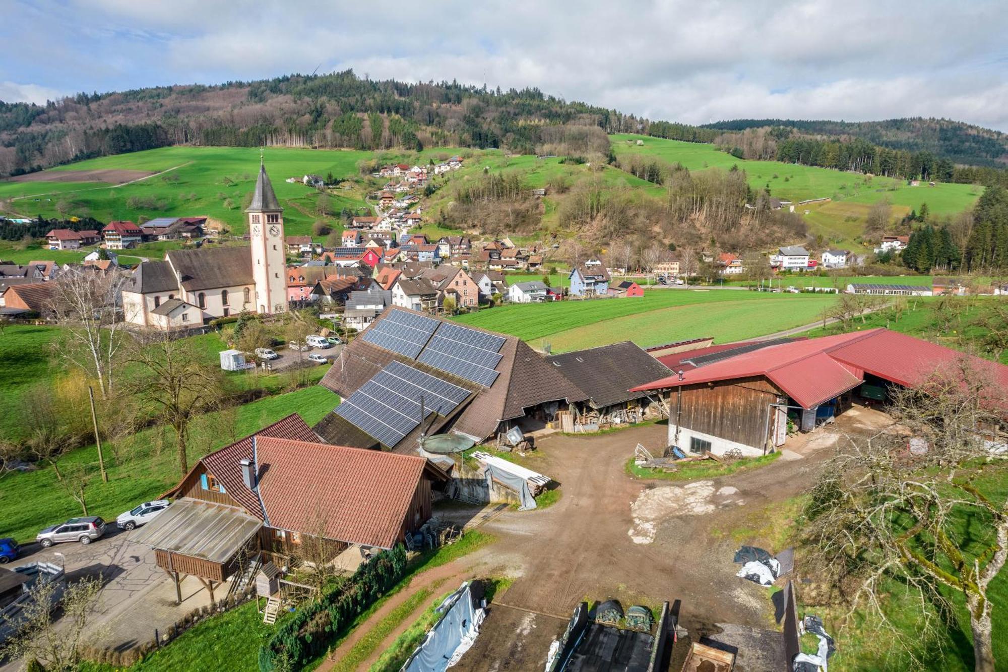 Appartamento Ziegelhof Schuttertal Esterno foto