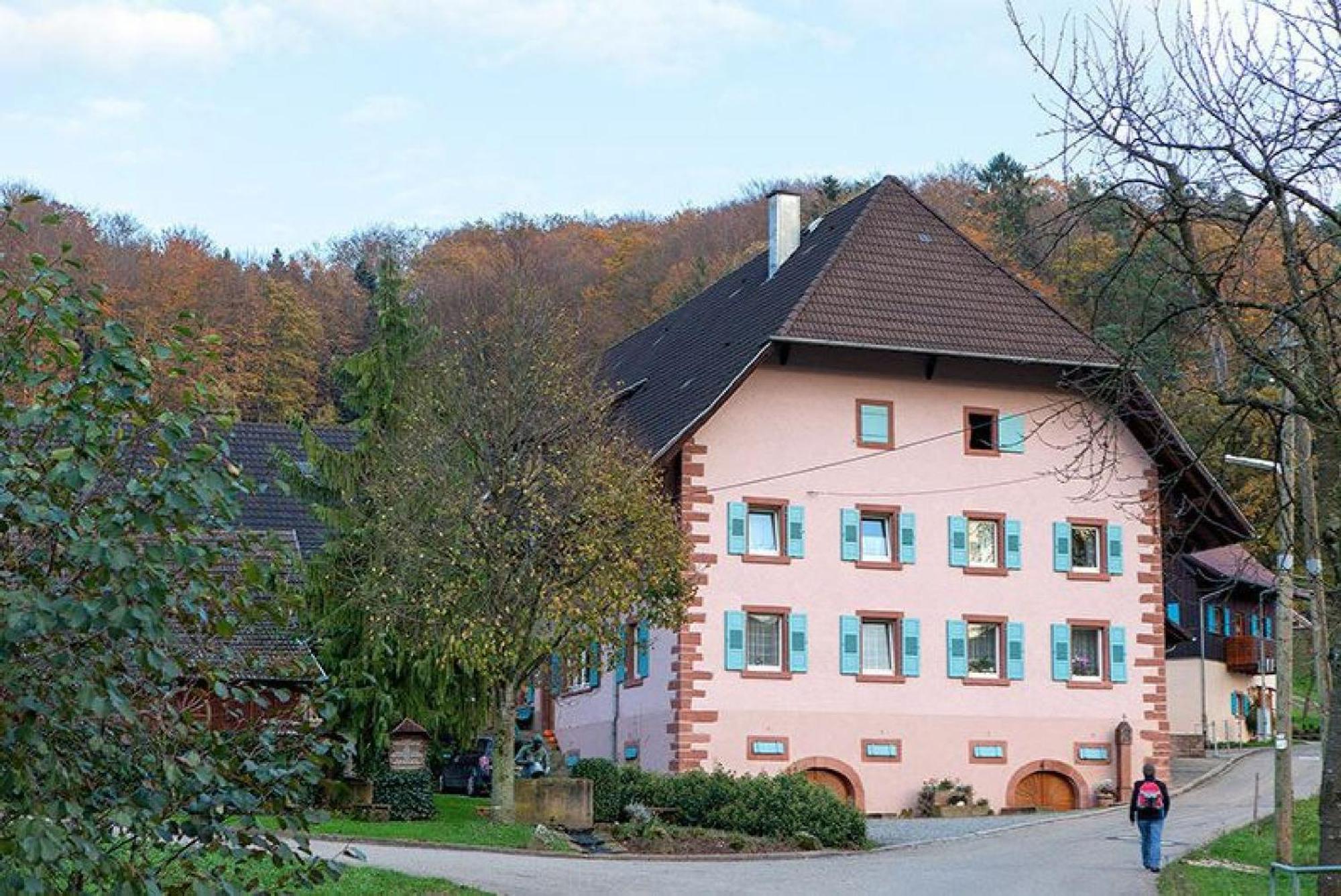 Appartamento Ziegelhof Schuttertal Esterno foto
